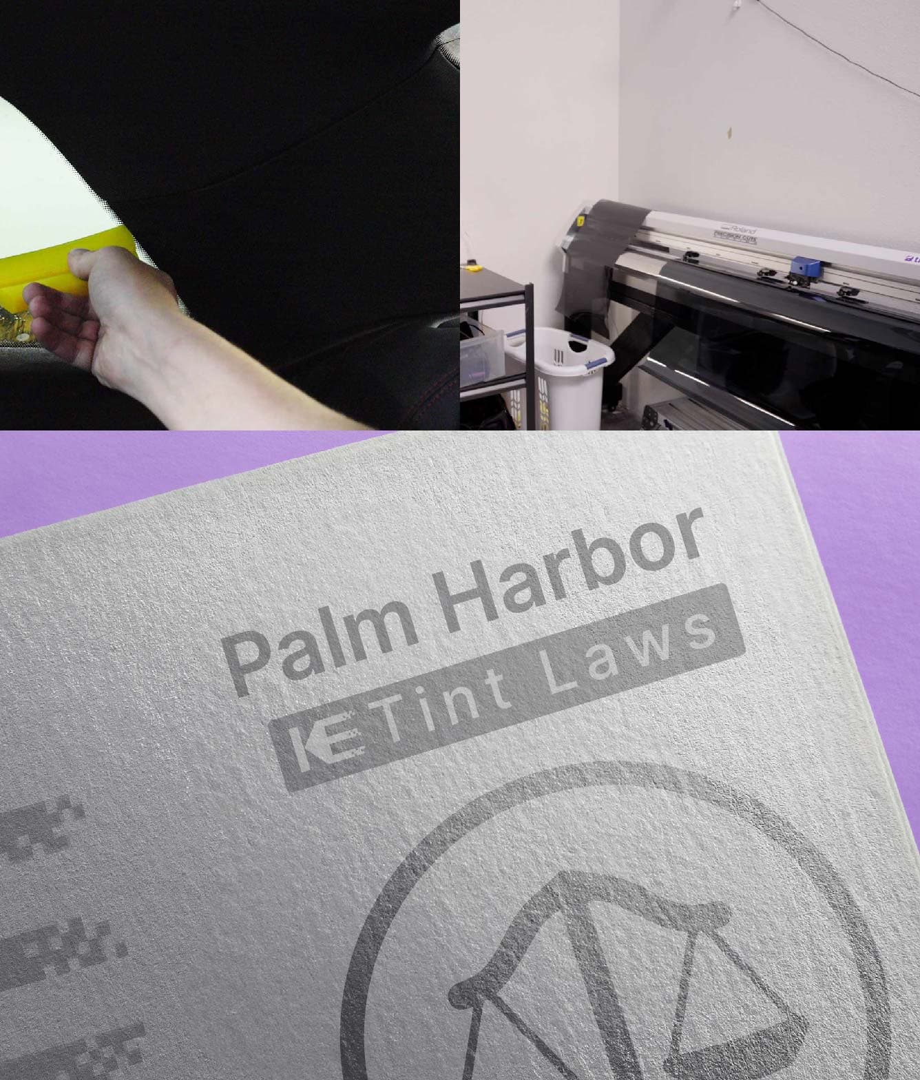 Window Tint Law Guide for Palm Harbor Florida