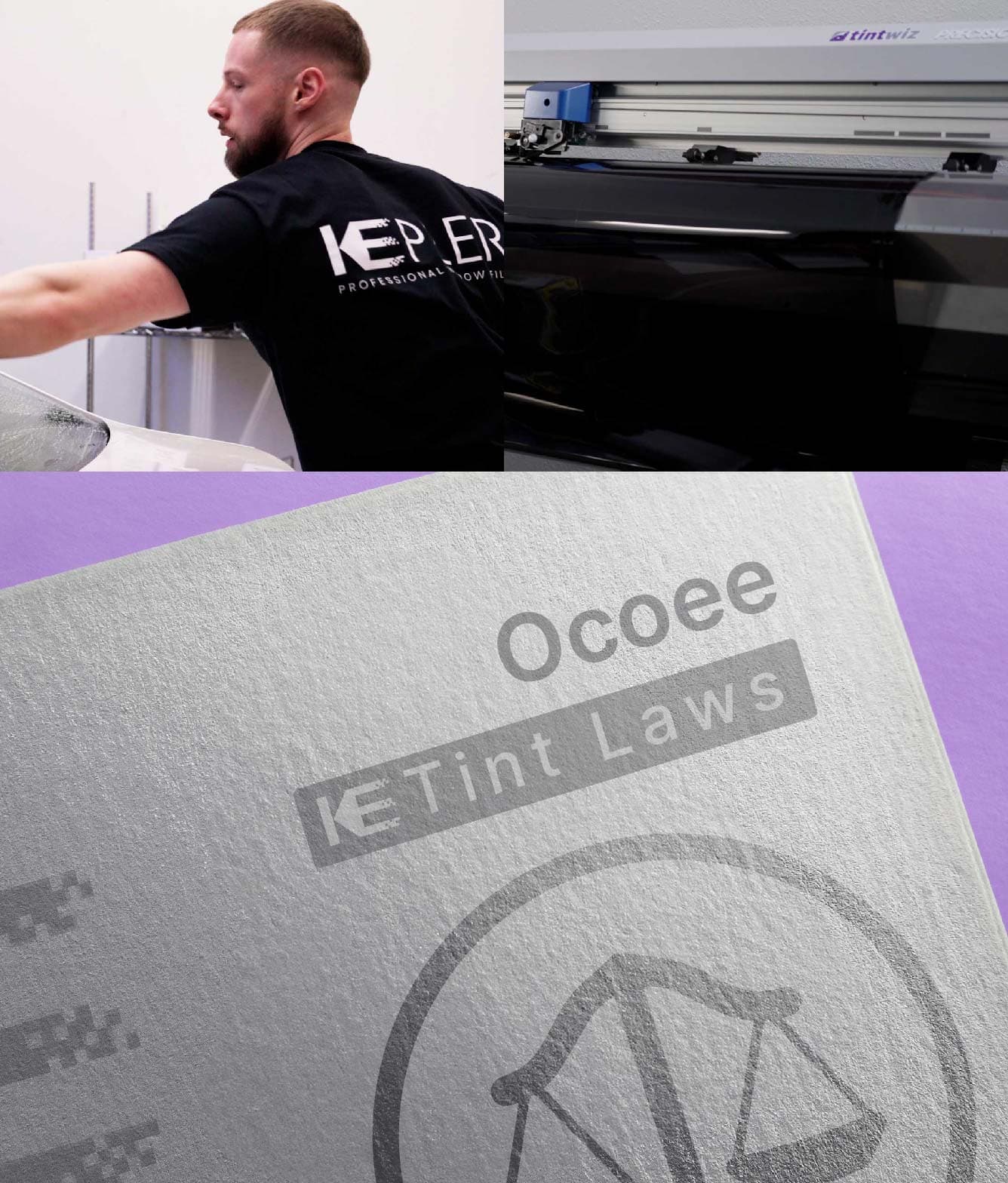Window Tint Law Guide for Ocoee Florida